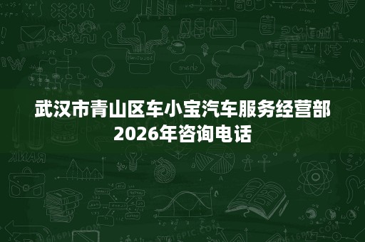 武汉市青山区车小宝汽车服务经营部2026年咨询电话 武汉市青山区车小宝汽车服务经营部2026年咨询电话
