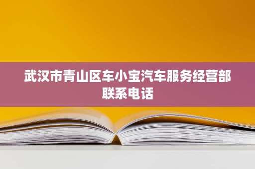 武汉市青山区车小宝汽车服务经营部联系电话