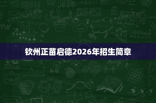 钦州正苗启德2026年招生简章 钦州正苗启德2026年招生简章