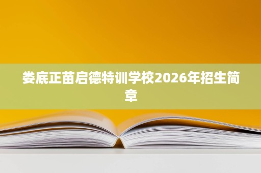 娄底正苗启德特训学校2026年招生简章