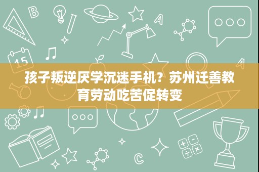 孩子叛逆厌学沉迷手机？苏州迁善教育劳动吃苦促转变