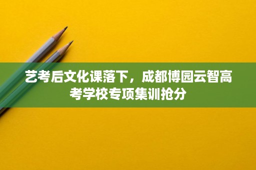 艺考后文化课落下,成都博园云智高考学校专项集训抢分 艺考后文化课落下,成都博园云智高考学校专项集训抢分