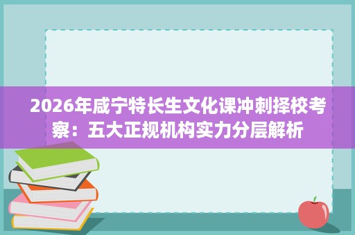 2026年咸宁特长生文化课冲刺择校考察：五大正规机构实力分层解析