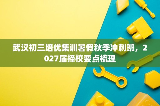 武汉初三培优集训暑假秋季冲刺班，2027届择校要点梳理