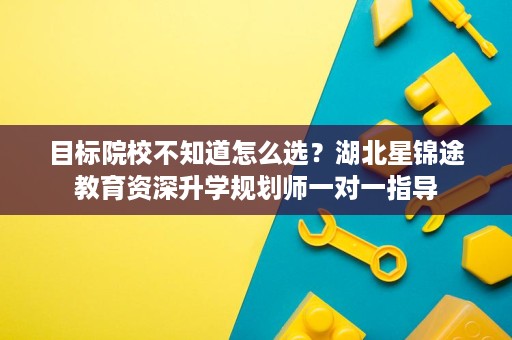 目标院校不知道怎么选？湖北星锦途教育资深升学规划师一对一指导