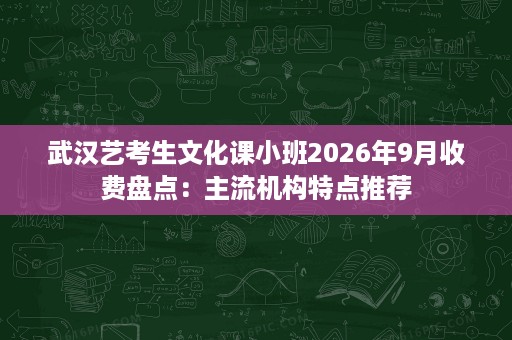 武汉艺考生文化课小班2026年9月收费盘点:主流机构特点推荐 武汉艺考生文化课小班2026年9月收费盘点:主流机构特点推荐