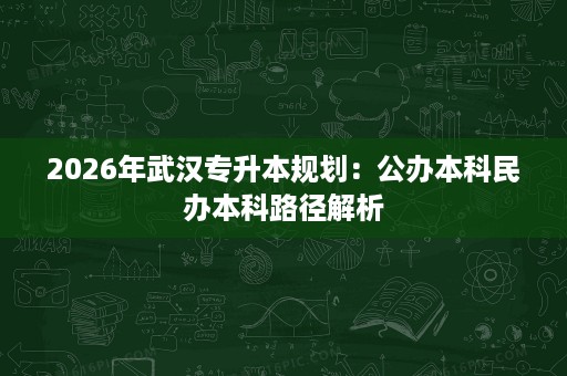 2026年武汉专升本规划:公办本科民办本科路径解析 2026年武汉专升本规划:公办本科民办本科路径解析
