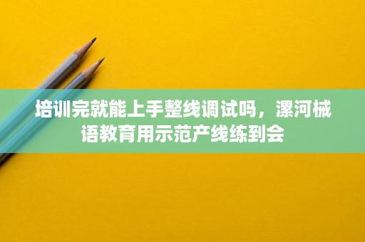 培训完就能上手整线调试吗,漯河械语教育用示范产线练到会 培训完就能上手整线调试吗,漯河械语教育用示范产线练到会