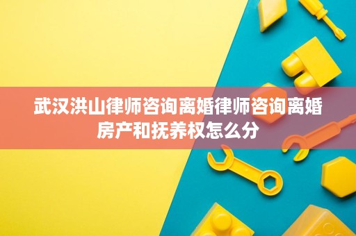 武汉洪山律师咨询离婚律师咨询离婚房产和抚养权怎么分 武汉洪山律师咨询离婚律师咨询离婚房产和抚养权怎么分