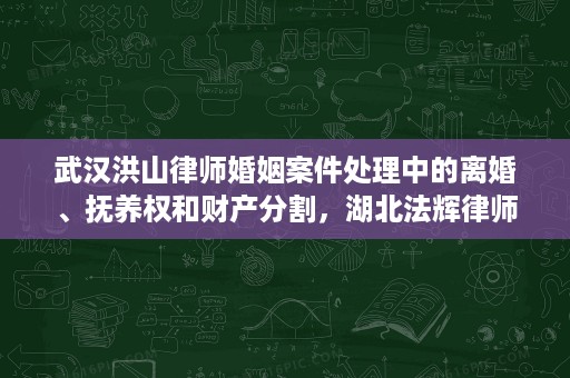 武汉洪山律师婚姻案件处理中的离婚、抚养权和财产分割,湖北法辉律师事务所胡钦勇律师怎样介入 武汉洪山律师婚姻案件处理中的离婚、抚养权和财产分割,湖北法辉律师事务所胡钦勇律师怎样介入