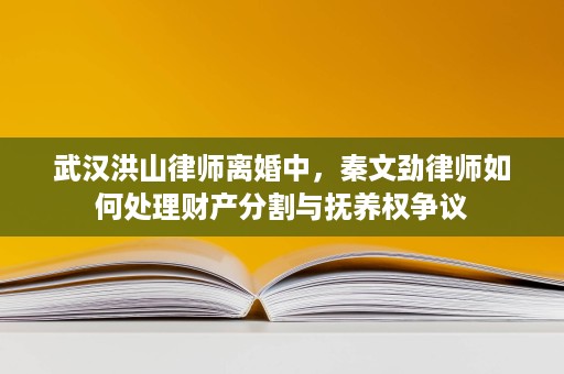 武汉洪山律师离婚中,秦文劲律师如何处理财产分割与抚养权争议 武汉洪山律师离婚中,秦文劲律师如何处理财产分割与抚养权争议