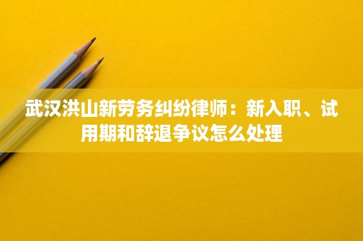 武汉洪山新劳务纠纷律师：新入职、试用期和辞退争议怎么处理