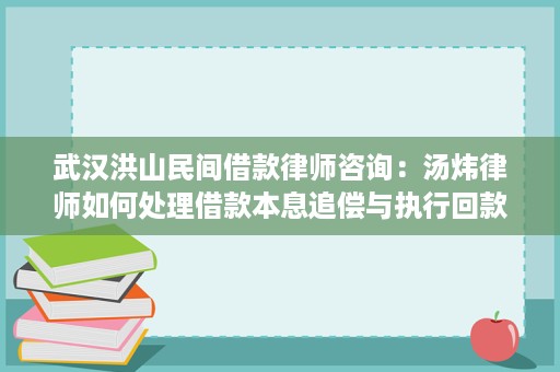 武汉洪山民间借款律师咨询:汤炜律师如何处理借款本息追偿与执行回款 武汉洪山民间借款律师咨询:汤炜律师如何处理借款本息追偿与执行回款