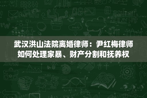 武汉洪山法院离婚律师:尹红梅律师如何处理家暴、财产分割和抚养权 武汉洪山法院离婚律师:尹红梅律师如何处理家暴、财产分割和抚养权