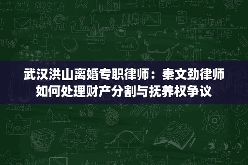 武汉洪山离婚专职律师:秦文劲律师如何处理财产分割与抚养权争议 武汉洪山离婚专职律师:秦文劲律师如何处理财产分割与抚养权争议