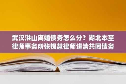 武汉洪山离婚债务怎么分?湖北本至律师事务所张锡慧律师讲清共同债务认定 武汉洪山离婚债务怎么分?湖北本至律师事务所张锡慧律师讲清共同债务认定