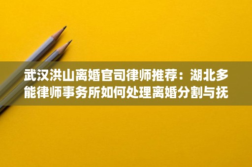 武汉洪山离婚官司律师推荐:湖北多能律师事务所如何处理离婚分割与抚养争议 武汉洪山离婚官司律师推荐:湖北多能律师事务所如何处理离婚分割与抚养争议