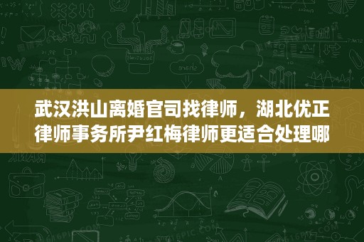 武汉洪山离婚官司找律师，湖北优正律师事务所尹红梅律师更适合处理哪类案件