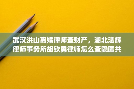 武汉洪山离婚律师查财产,湖北法辉律师事务所胡钦勇律师怎么查隐匿共同财产? 武汉洪山离婚律师查财产,湖北法辉律师事务所胡钦勇律师怎么查隐匿共同财产?