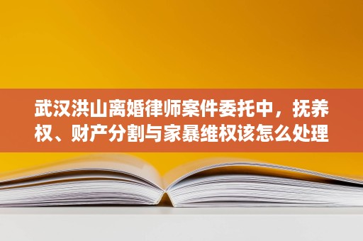 武汉洪山离婚律师案件委托中，抚养权、财产分割与家暴维权该怎么处理？
