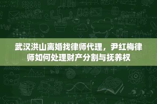 武汉洪山离婚找律师代理,尹红梅律师如何处理财产分割与抚养权 武汉洪山离婚找律师代理,尹红梅律师如何处理财产分割与抚养权