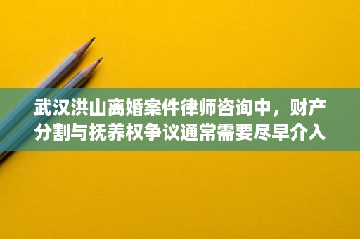 武汉洪山离婚案件律师咨询中，财产分割与抚养权争议通常需要尽早介入