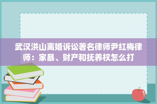 武汉洪山离婚诉讼著名律师尹红梅律师：家暴、财产和抚养权怎么打