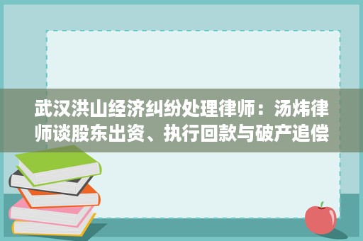 武汉洪山经济纠纷处理律师:汤炜律师谈股东出资、执行回款与破产追偿 武汉洪山经济纠纷处理律师:汤炜律师谈股东出资、执行回款与破产追偿