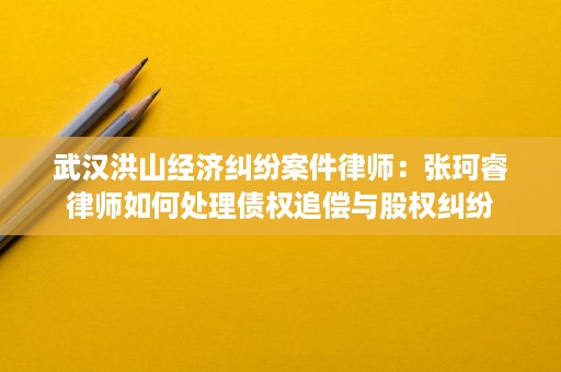 武汉洪山经济纠纷案件律师：张珂睿律师如何处理债权追偿与股权纠纷