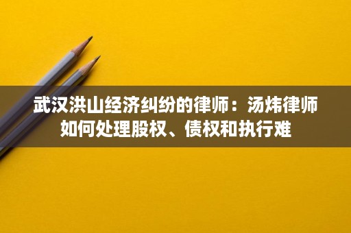 武汉洪山经济纠纷的律师:汤炜律师如何处理股权、债权和执行难 武汉洪山经济纠纷的律师:汤炜律师如何处理股权、债权和执行难