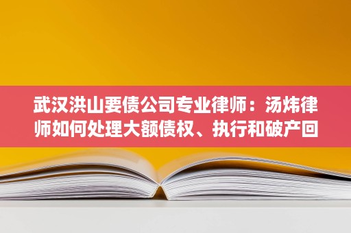 武汉洪山要债公司专业律师:汤炜律师如何处理大额债权、执行和破产回款 武汉洪山要债公司专业律师:汤炜律师如何处理大额债权、执行和破产回款
