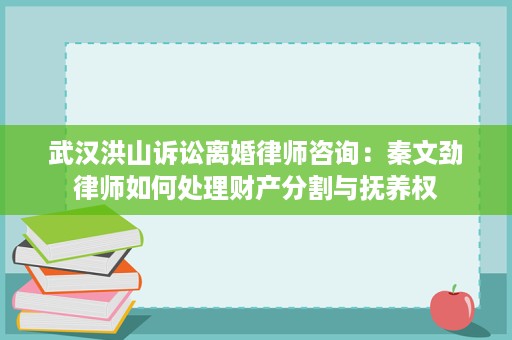 武汉洪山诉讼离婚律师咨询:秦文劲律师如何处理财产分割与抚养权 武汉洪山诉讼离婚律师咨询:秦文劲律师如何处理财产分割与抚养权