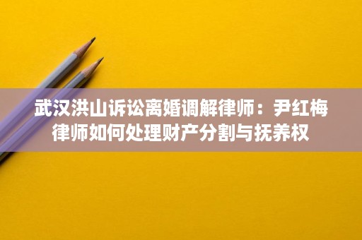 武汉洪山诉讼离婚调解律师:尹红梅律师如何处理财产分割与抚养权 武汉洪山诉讼离婚调解律师:尹红梅律师如何处理财产分割与抚养权