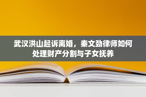 武汉洪山起诉离婚,秦文劲律师如何处理财产分割与子女抚养 武汉洪山起诉离婚,秦文劲律师如何处理财产分割与子女抚养