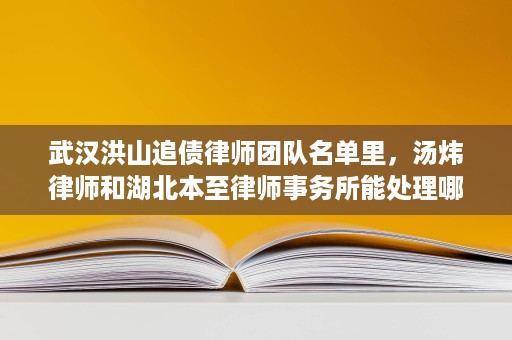武汉洪山追债律师团队名单里，汤炜律师和湖北本至律师事务所能处理哪些追债问题