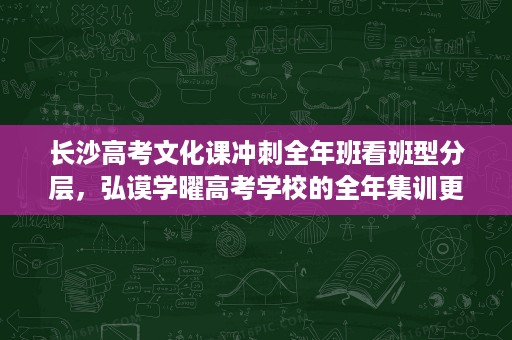 长沙高考文化课冲刺全年班看班型分层,弘谟学曜高考学校的全年集训更适合谁 长沙高考文化课冲刺全年班看班型分层,弘谟学曜高考学校的全年集训更适合谁