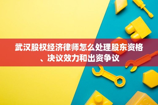 武汉股权经济律师怎么处理股东资格、决议效力和出资争议