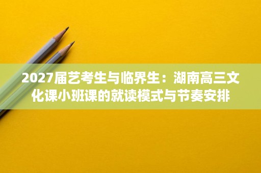 2027届艺考生与临界生：湖南高三文化课小班课的就读模式与节奏安排