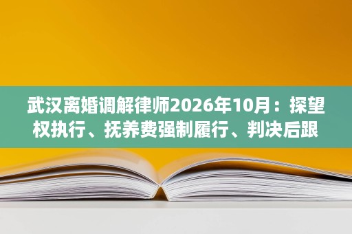武汉离婚调解律师2026年10月:探望权执行、抚养费强制履行、判决后跟进,调解协议落地后对方不配合怎么办? 武汉离婚调解律师2026年10月:探望权执行、抚养费强制履行、判决后跟进,调解协议落地后对方不配合怎么办?