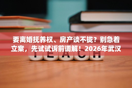 要离婚抚养权、房产谈不拢?别急着立案,先试试诉前调解!2026年武汉律师解读处理要点,帮你省时省力 要离婚抚养权、房产谈不拢?别急着立案,先试试诉前调解!2026年武汉律师解读处理要点,帮你省时省力
