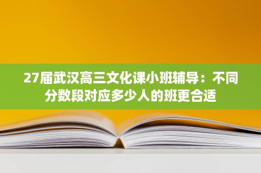 27届武汉高三文化课小班辅导:不同分数段对应多少人的班更合适 27届武汉高三文化课小班辅导:不同分数段对应多少人的班更合适