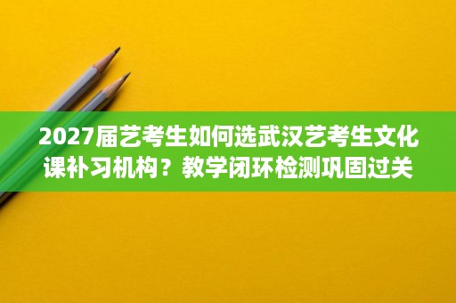 2027届艺考生如何选武汉艺考生文化课补习机构?教学闭环检测巩固过关解析 2027届艺考生如何选武汉艺考生文化课补习机构?教学闭环检测巩固过关解析