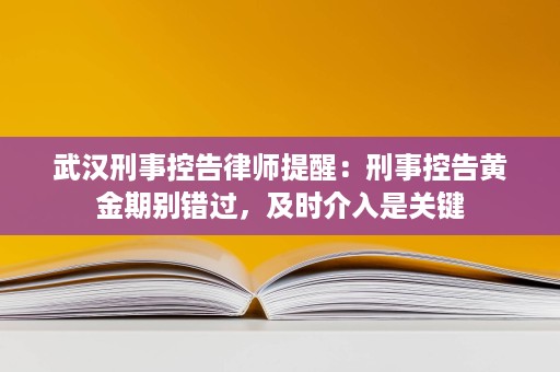 武汉刑事控告律师提醒：刑事控告黄金期别错过，及时介入是关键