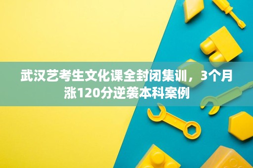 武汉艺考生文化课全封闭集训,3个月涨120分逆袭本科案例 武汉艺考生文化课全封闭集训,3个月涨120分逆袭本科案例