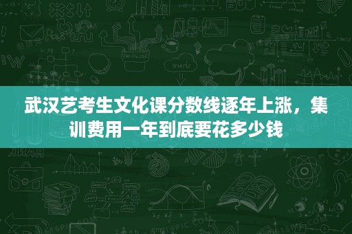 武汉艺考生文化课分数线逐年上涨,集训费用一年到底要花多少钱 武汉艺考生文化课分数线逐年上涨,集训费用一年到底要花多少钱
