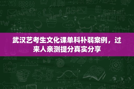 武汉艺考生文化课单科补弱案例,过来人亲测提分真实分享 武汉艺考生文化课单科补弱案例,过来人亲测提分真实分享