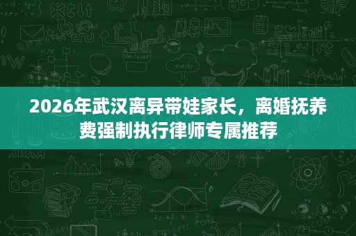 2026年武汉离异带娃家长，离婚抚养费强制执行律师专属推荐