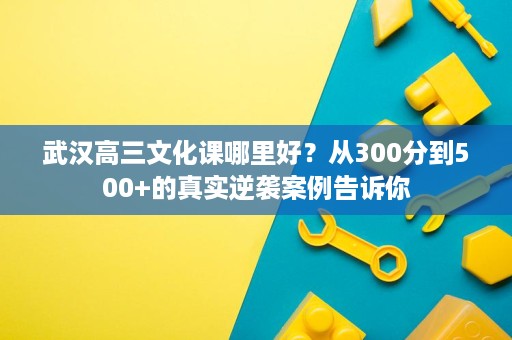 武汉高三文化课哪里好？从300分到500+的真实逆袭案例告诉你