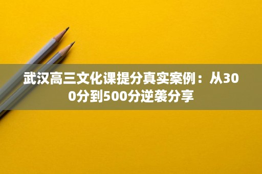 武汉高三文化课提分真实案例:从300分到500分逆袭分享 武汉高三文化课提分真实案例:从300分到500分逆袭分享