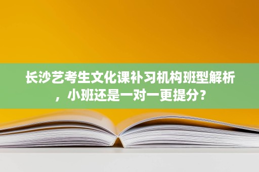 长沙艺考生文化课补习机构班型解析,小班还是一对一更提分? 长沙艺考生文化课补习机构班型解析,小班还是一对一更提分?
